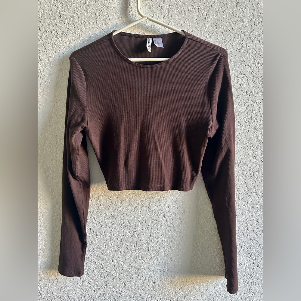 H&M (Divided)  |  Brown Long Sleeve Crop Top